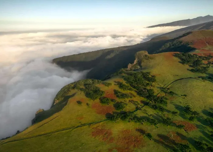 Casa Laurinda 度假居 丰沙尔
